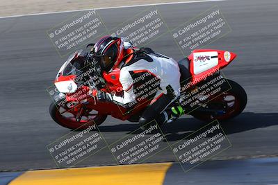 media/Feb-04-2023-SoCal Trackdays (Sat) [[8a776bf2c3]]/Turn 6 Inside (1025am)/